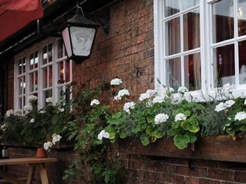 The Bull On The Green Lewes Buitenkant foto